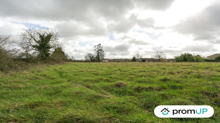 Ma-Cabane - Vente Terrain Vieux-Ruffec, 7200 m²