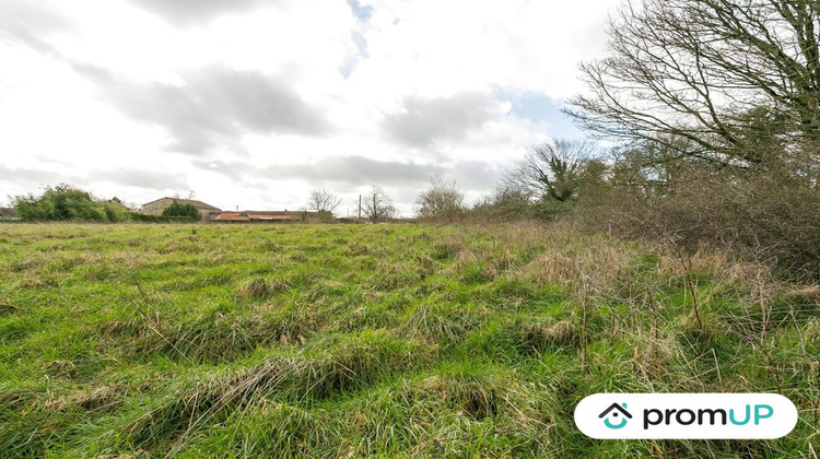 Ma-Cabane - Vente Terrain Vieux-Ruffec, 7200 m²