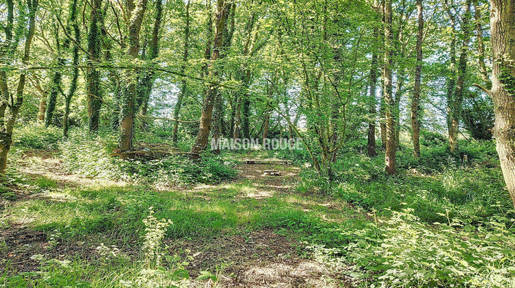 Ma-Cabane - Vente Terrain VIGNOC, 24474 m²