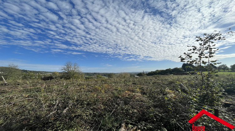 Ma-Cabane - Vente Terrain Vignols, 7675 m²