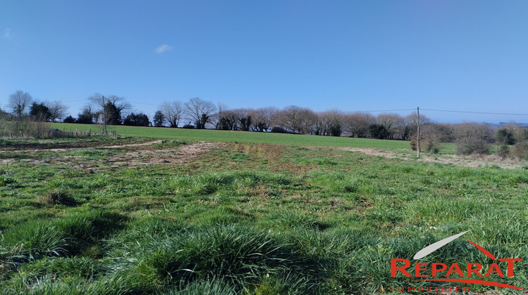 Ma-Cabane - Vente Terrain Vignols, 4081 m²