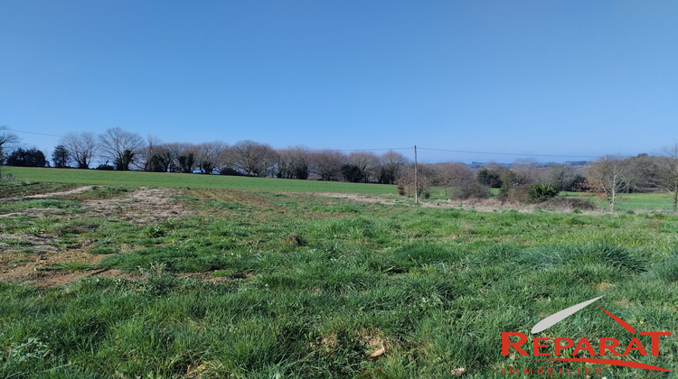 Ma-Cabane - Vente Terrain Vignols, 4081 m²