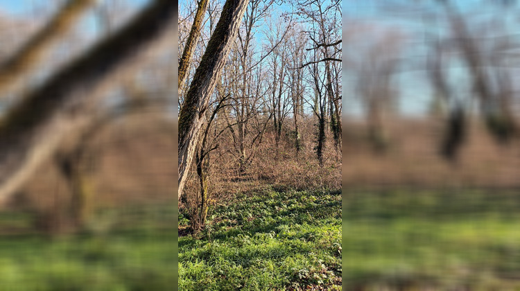 Ma-Cabane - Vente Terrain VILLANDRAUT, 0 m²