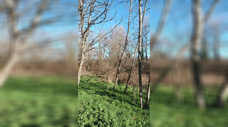 Ma-Cabane - Vente Terrain VILLANDRAUT, 0 m²