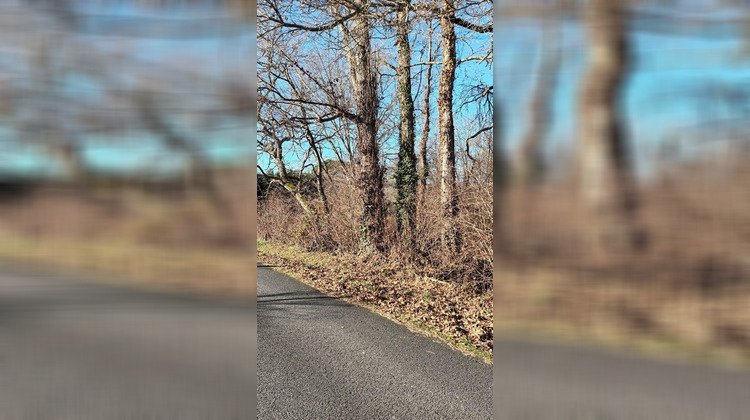 Ma-Cabane - Vente Terrain VILLANDRAUT, 0 m²