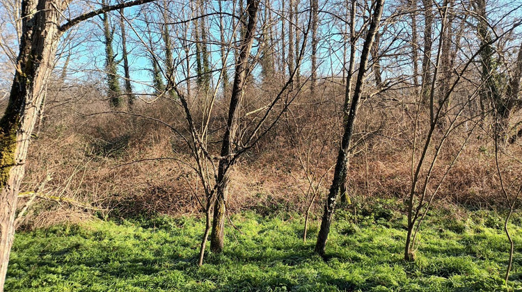 Ma-Cabane - Vente Terrain VILLANDRAUT, 0 m²