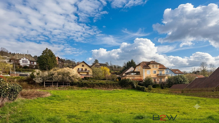 Ma-Cabane - Vente Terrain Villé, 1675 m²