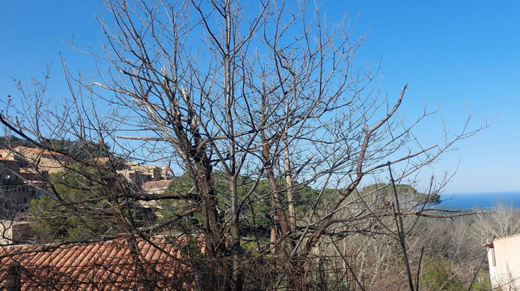 Ma-Cabane - Vente Terrain VILLE DI PARASO, 1100 m²