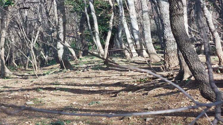 Ma-Cabane - Vente Terrain VILLE DI PARASO, 1361 m²