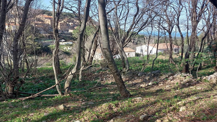 Ma-Cabane - Vente Terrain VILLE DI PARASO, 1361 m²