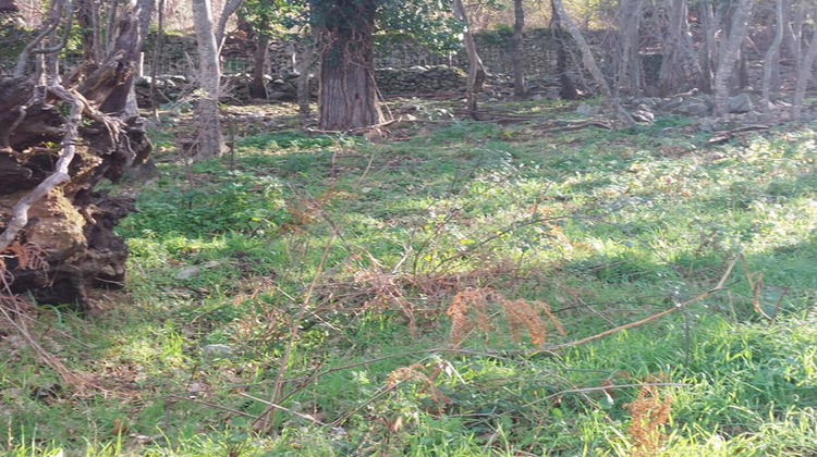Ma-Cabane - Vente Terrain VILLE DI PARASO, 1361 m²