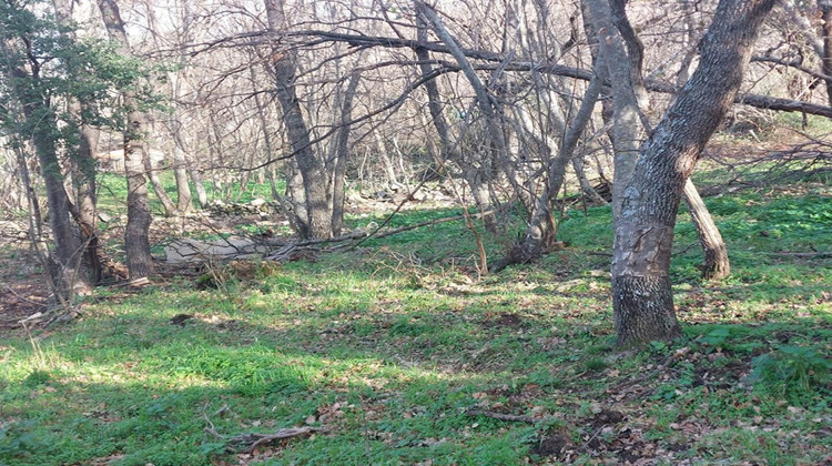 Ma-Cabane - Vente Terrain VILLE DI PARASO, 1361 m²