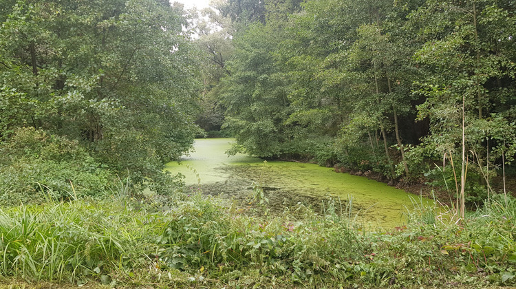 Ma-Cabane - Vente Terrain VILLE-SUR-ANCRE, 3587 m²