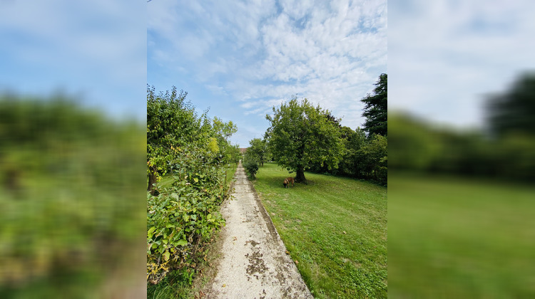 Ma-Cabane - Vente Terrain Villeblevin, 3679 m²