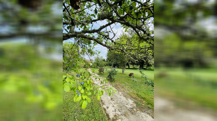 Ma-Cabane - Vente Terrain Villeblevin, 3679 m²