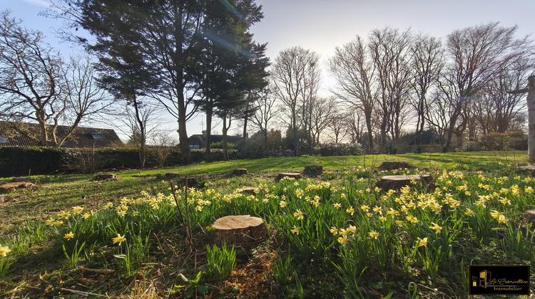 Ma-Cabane - Vente Terrain Villeconin, 625 m²