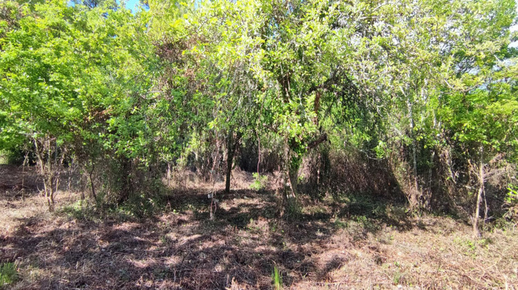 Ma-Cabane - Vente Terrain VILLEFRANCHE DE LONCHAT, 2975 m²