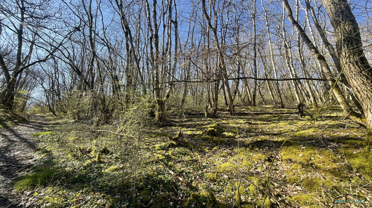 Ma-Cabane - Vente Terrain Villefranche-de-Rouergue, 3498 m²