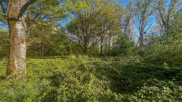 Ma-Cabane - Vente Terrain VILLEFRANCHE SUR CHER, 6804 m²