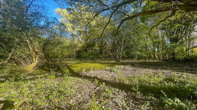 Ma-Cabane - Vente Terrain VILLEFRANCHE SUR CHER, 6804 m²