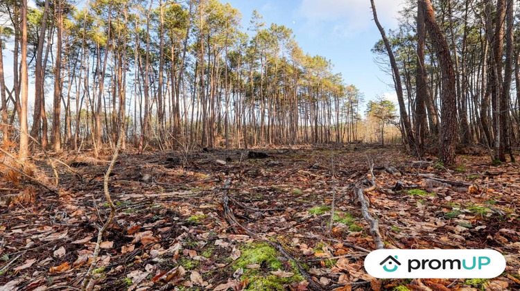 Ma-Cabane - Vente Terrain Villefranche-sur-Cher, 1570 m²