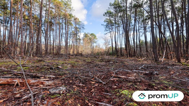 Ma-Cabane - Vente Terrain Villefranche-sur-Cher, 1570 m²