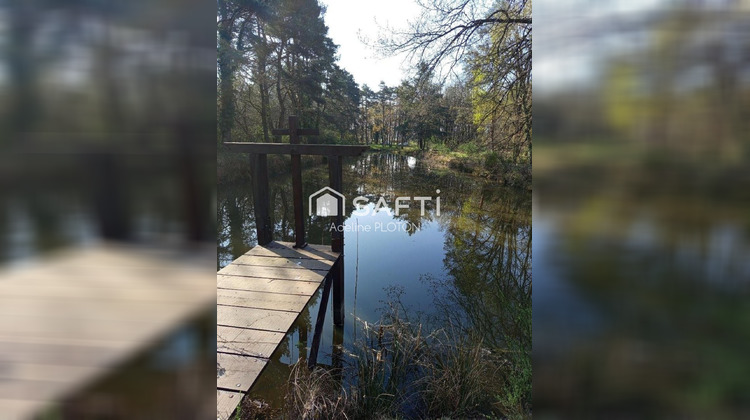 Ma-Cabane - Vente Terrain Villefranche-sur-Cher, 5081 m²