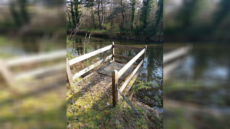 Ma-Cabane - Vente Terrain Villefranche-sur-Cher, 5081 m²