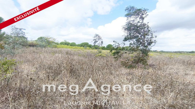 Ma-Cabane - Vente Terrain VILLENEUVE LES BEZIERS, 2620 m²