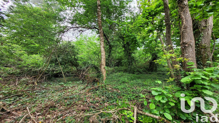 Ma-Cabane - Vente Terrain Villeneuve-sur-Bellot, 2224 m²