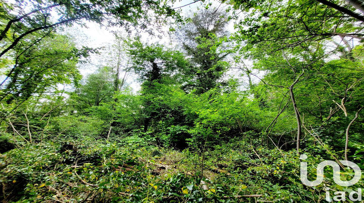 Ma-Cabane - Vente Terrain Villeneuve-sur-Bellot, 2224 m²