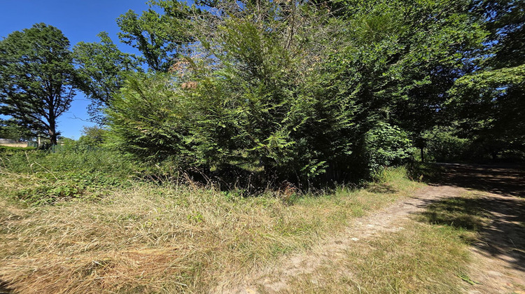 Ma-Cabane - Vente Terrain VILLENEUVE-SUR-BELLOT, 1000 m²