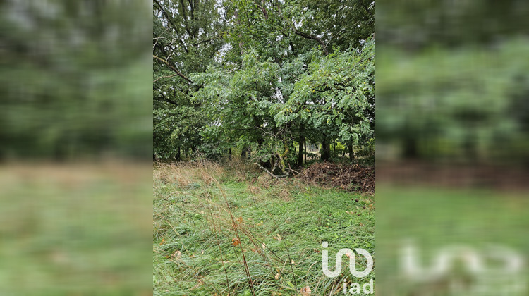 Ma-Cabane - Vente Terrain Villeneuve-sur-Yonne, 5931 m²