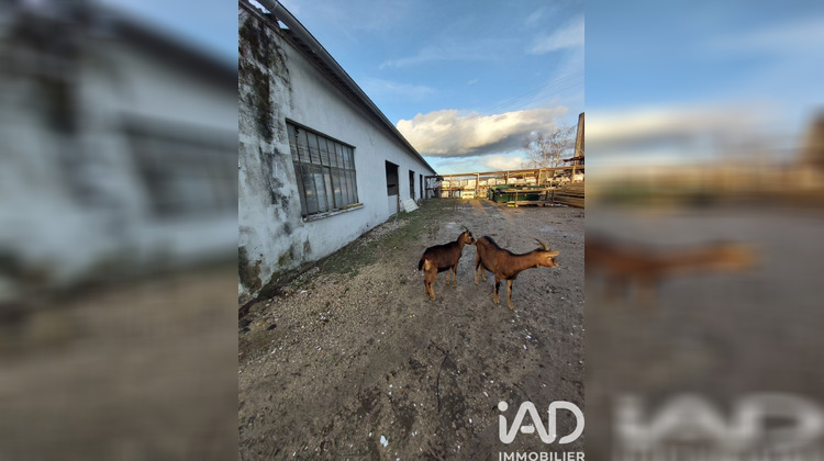 Ma-Cabane - Vente Terrain Villeneuve-sur-Yonne, 2500 m²