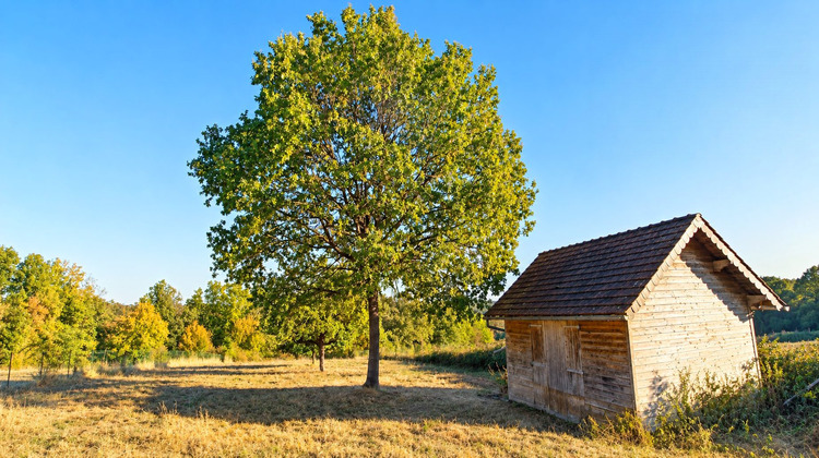 Ma-Cabane - Vente Terrain Villeneuve-sur-Yonne, 3460 m²