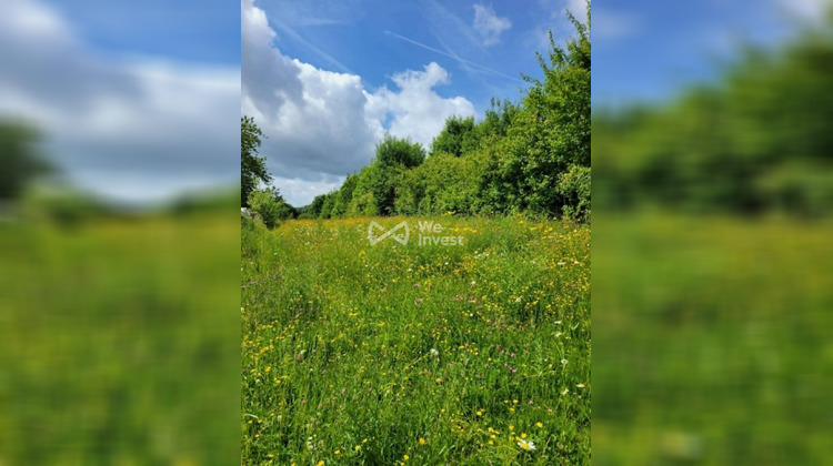 Ma-Cabane - Vente Terrain VILLERS CERNAY, 3930 m²
