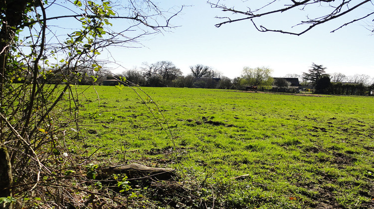 Ma-Cabane - Vente Terrain VILLERS-SUR-MER, 5000 m²