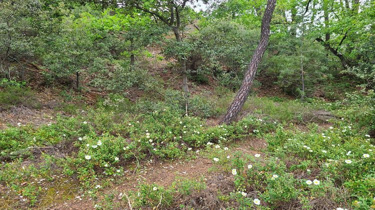 Ma-Cabane - Vente Terrain VILLES-SUR-AUZON, 1950 m²