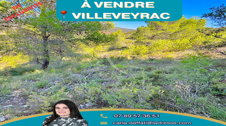 Ma-Cabane - Vente Terrain VILLEVEYRAC, 13052 m²