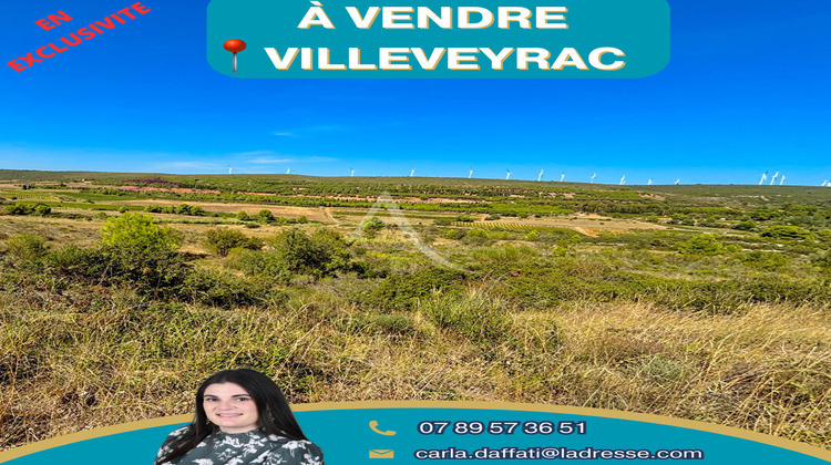 Ma-Cabane - Vente Terrain VILLEVEYRAC, 7463 m²