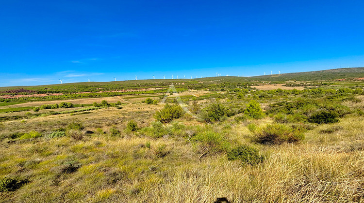 Ma-Cabane - Vente Terrain VILLEVEYRAC, 7463 m²