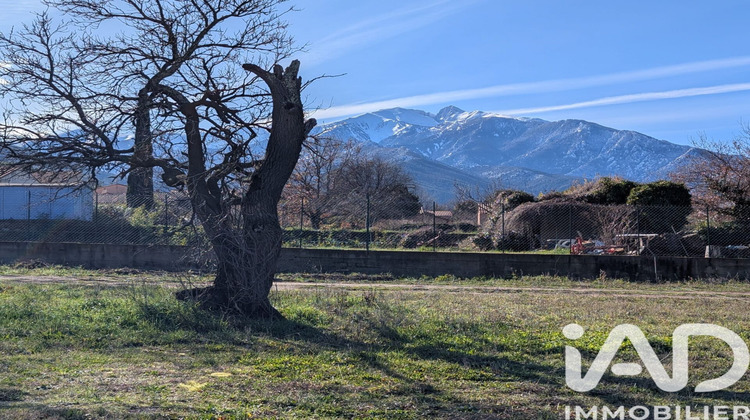 Ma-Cabane - Vente Terrain Vinça, 1150 m²