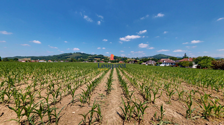 Ma-Cabane - Vente Terrain VIODOS-ABENSE-DE-BAS, 1853 m²