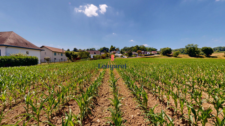 Ma-Cabane - Vente Terrain VIODOS-ABENSE-DE-BAS, 1853 m²