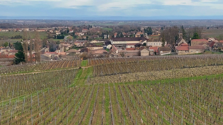 Ma-Cabane - Vente Terrain VIRE, 597 m²