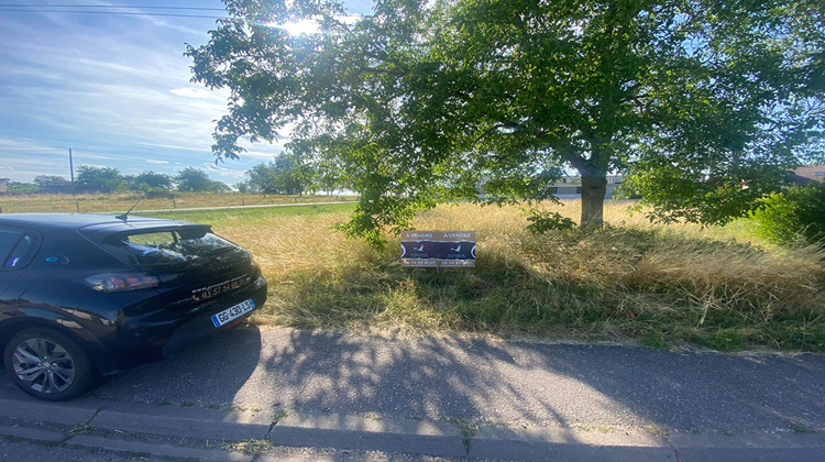 Ma-Cabane - Vente Terrain VITRIMONT, 800 m²