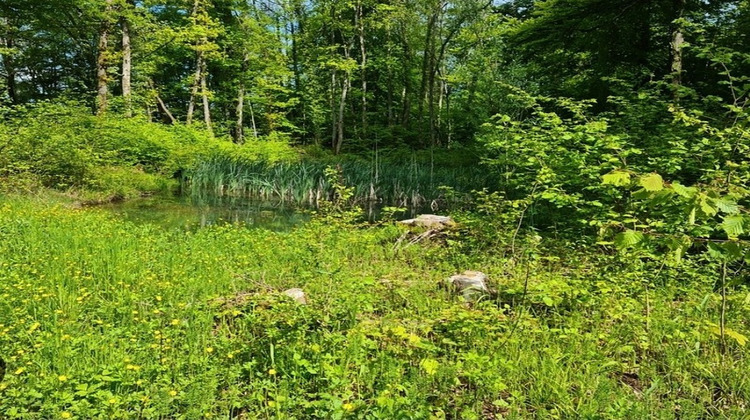 Ma-Cabane - Vente Terrain VITTEL, 1973 m²