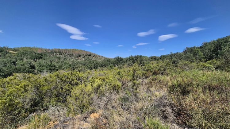 Ma-Cabane - Vente Terrain Vivès, 10000 m²