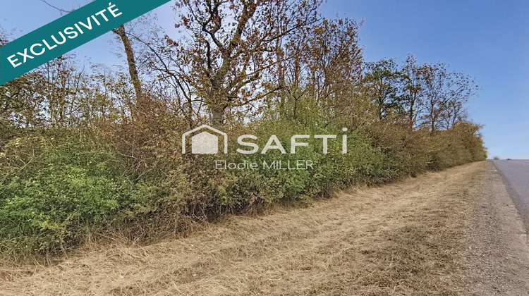 Ma-Cabane - Vente Terrain Voinemont, 5855 m²