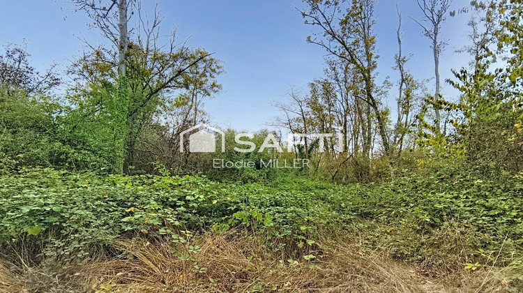Ma-Cabane - Vente Terrain Voinemont, 5855 m²